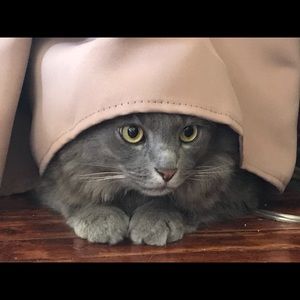 Meet your Posher, Kate